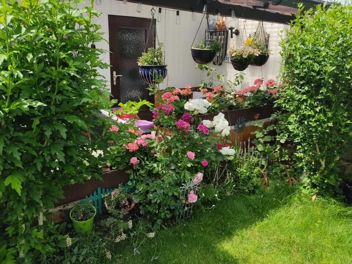 Schoene 3 Zi. Ferienwohnung Vor Den Toren Frankfurt 드라이아이히 외부 사진