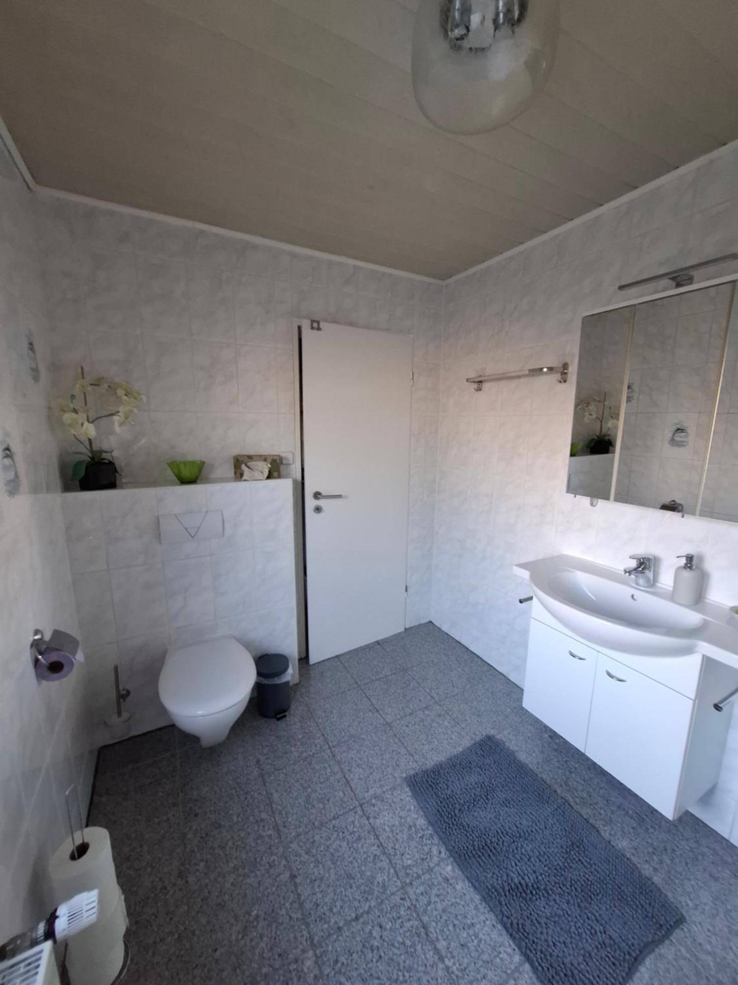 Schoene 3 Zi. Ferienwohnung Vor Den Toren Frankfurt 드라이아이히 외부 사진